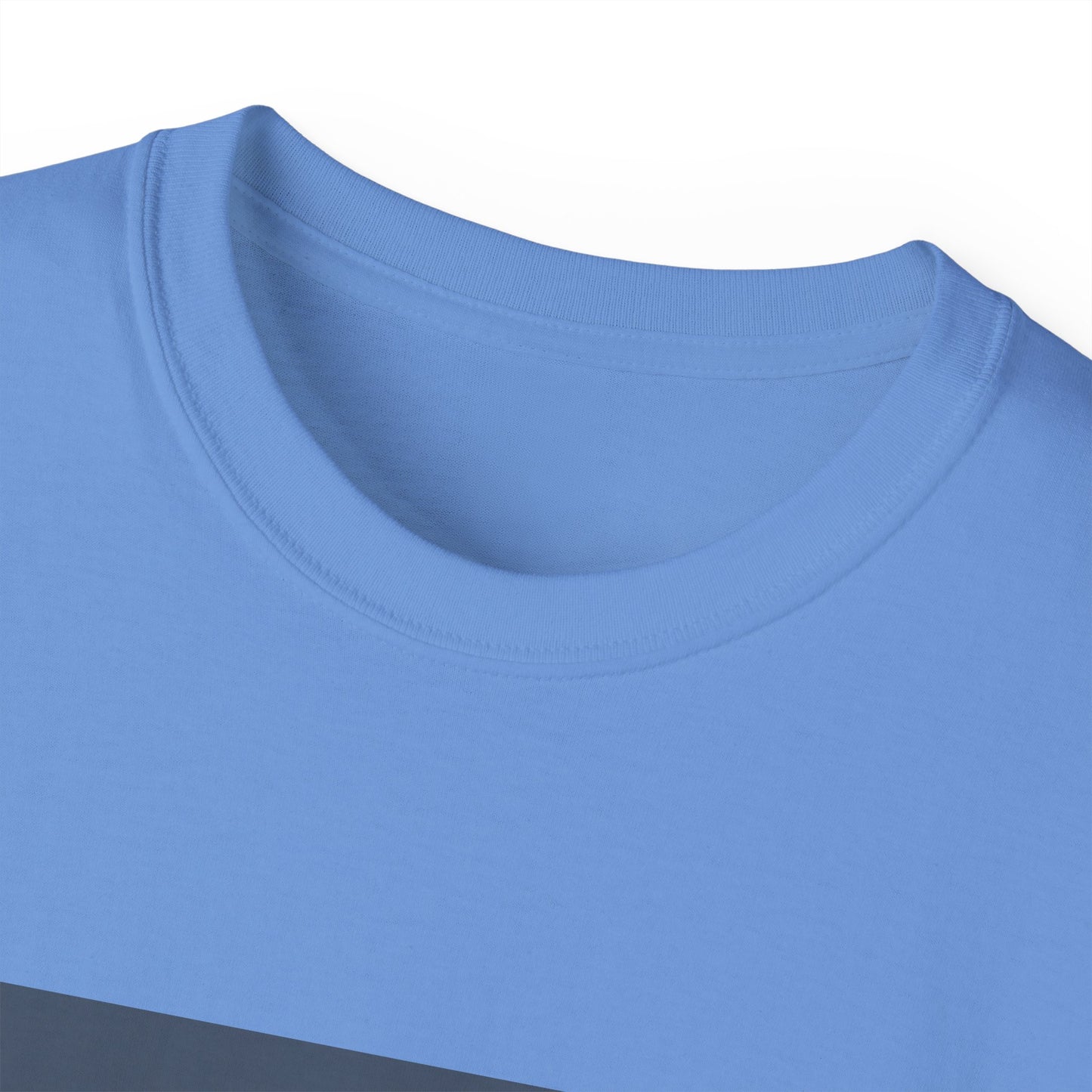 Penguin Tee - No Fish No Problem - Funny Design