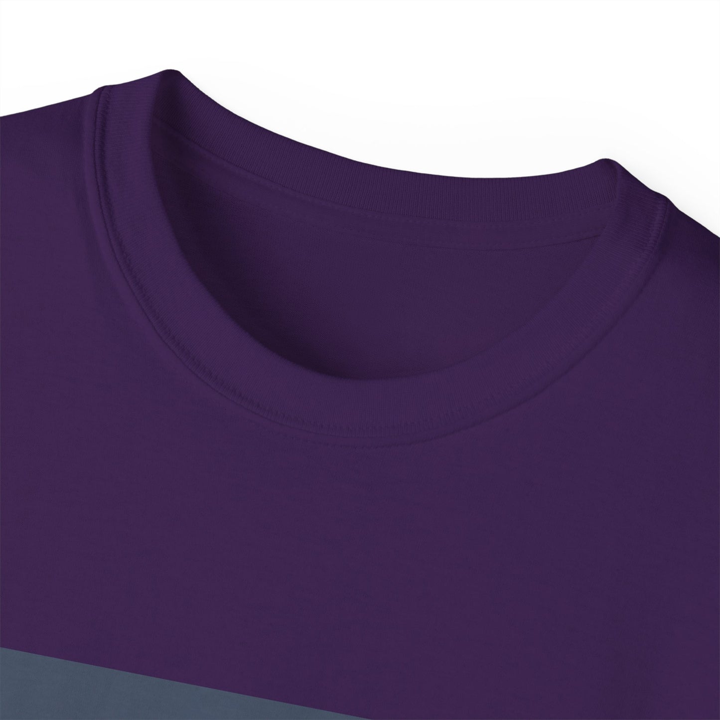 Penguin Tee - No Fish No Problem - Funny Design